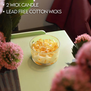 2-Wick Color Bowl Candle - CINNABUN