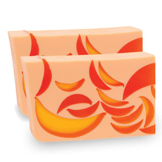 SALE! Vegetable Glycerin 5.5 Oz. Bar Soap (2-Pack) - FRUITY